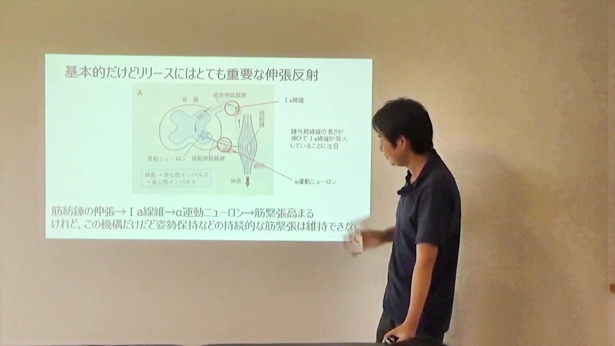 筋リリースメカニズム 無料動画(3本)